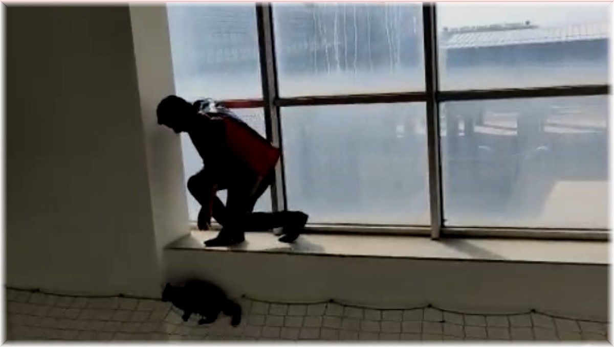 Hastanede mahsur kalan kedi itfaiye ekipleri tarafından kurtarıldı