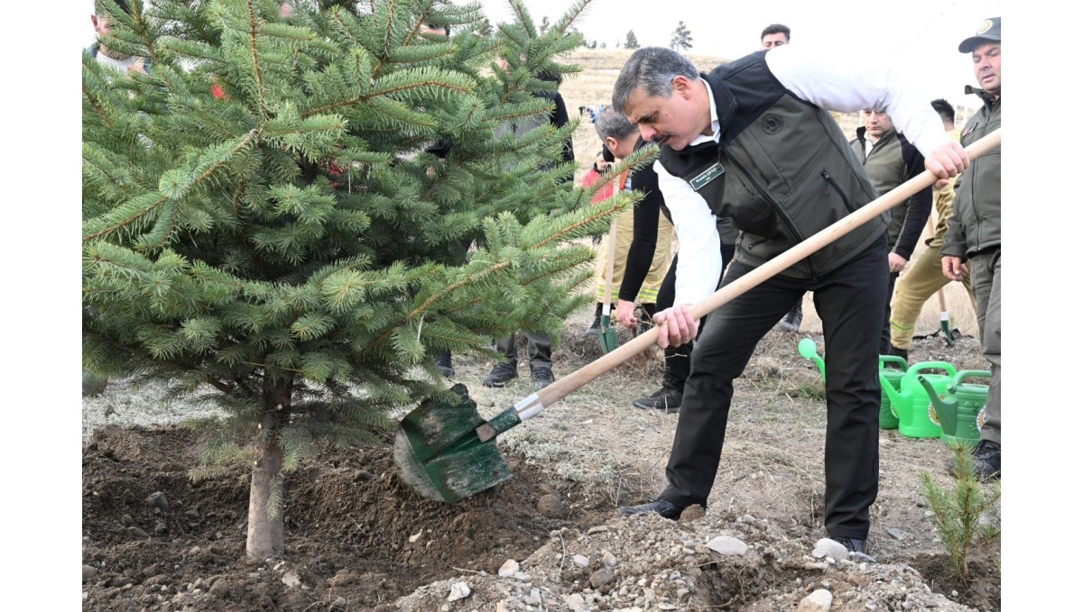 "Hastaya kan, ormana can"