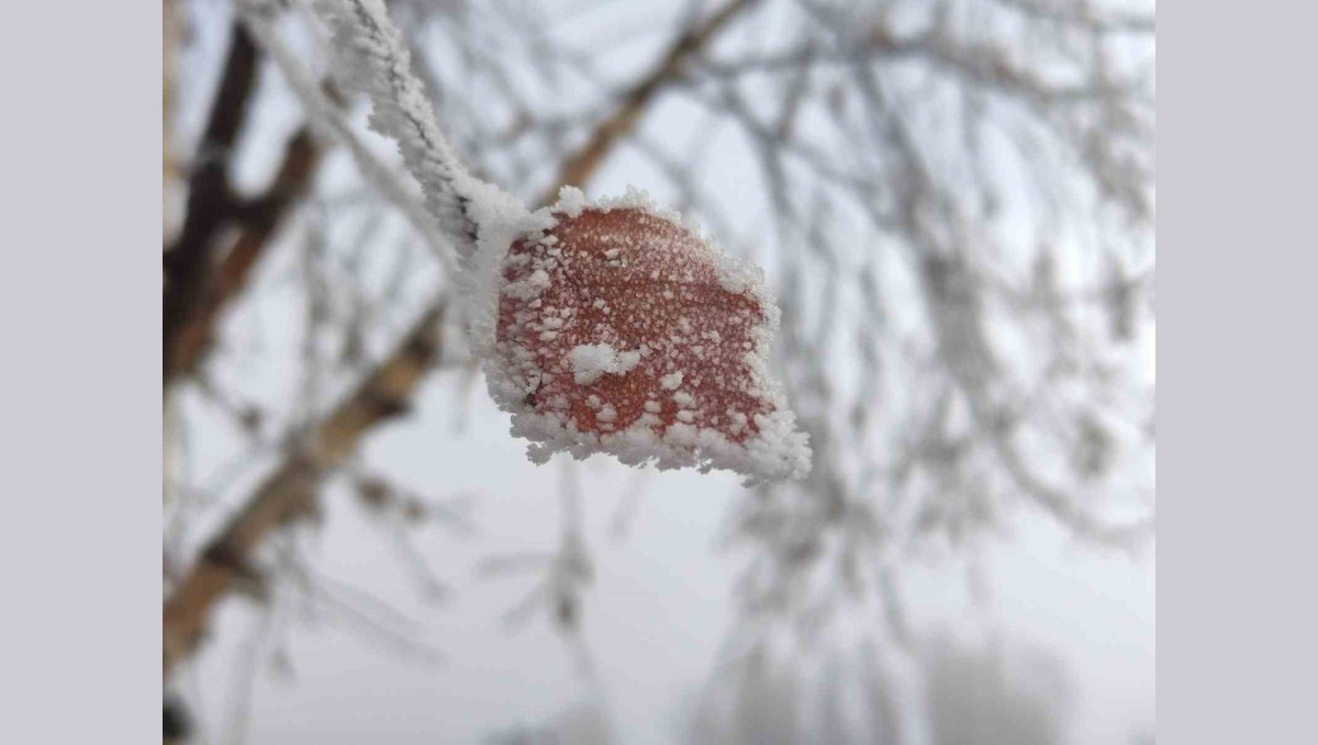 Hava sıcaklığının eksi 14,6 dereceye düştüğü Göle buz tuttu