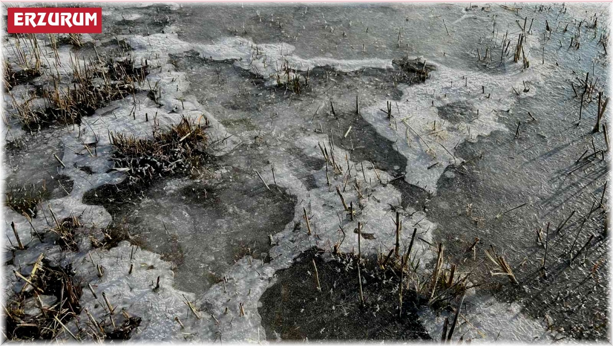 Hava sıcaklığının eksi 5'e düştüğü Erzurum buz tuttu