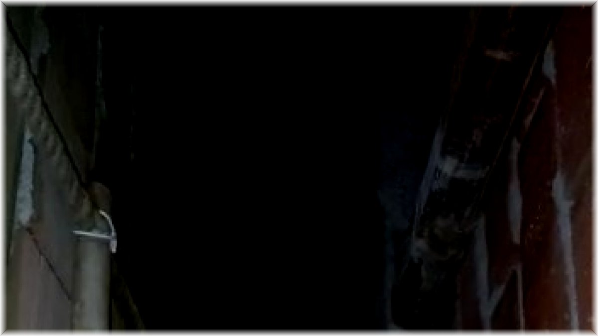 Havalandırma boşluğuna düşen kediyi itfaiye kurtardı