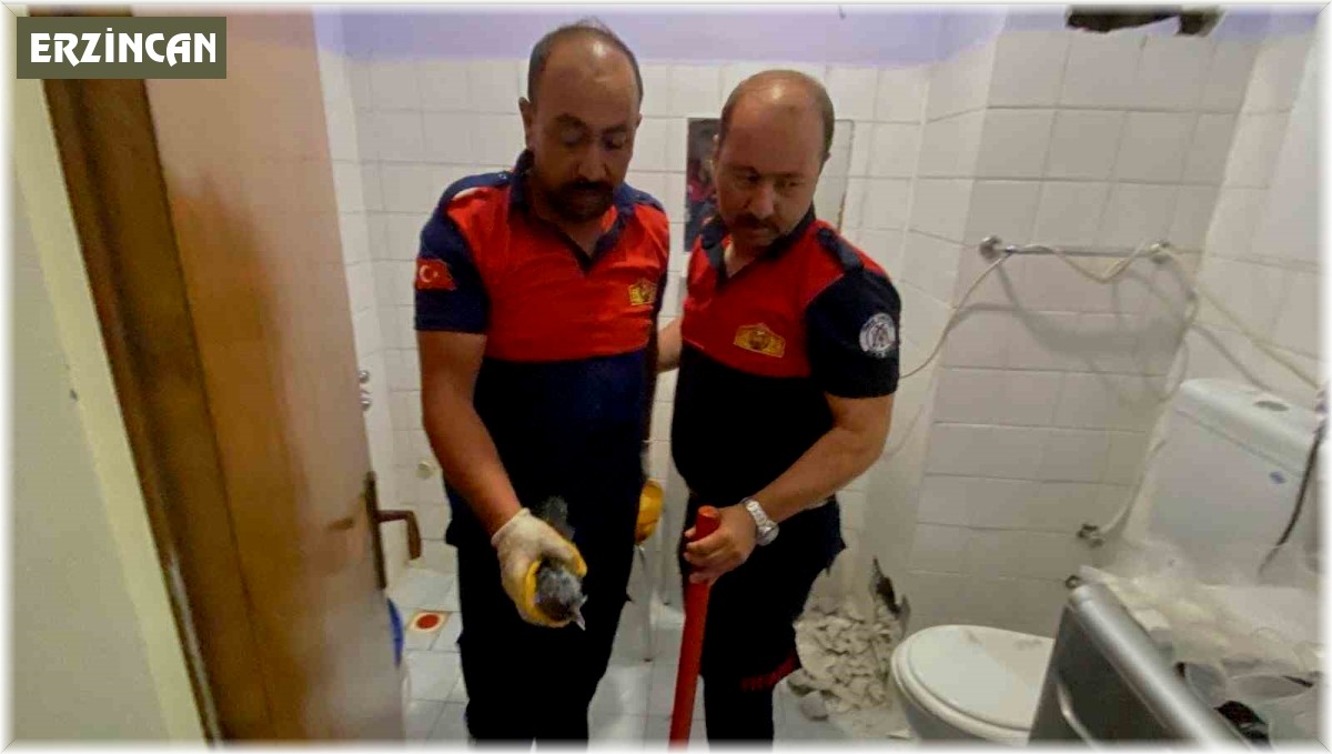 Havalandırma boşluğunda sıkışan karga yavrusu kurtarıldı