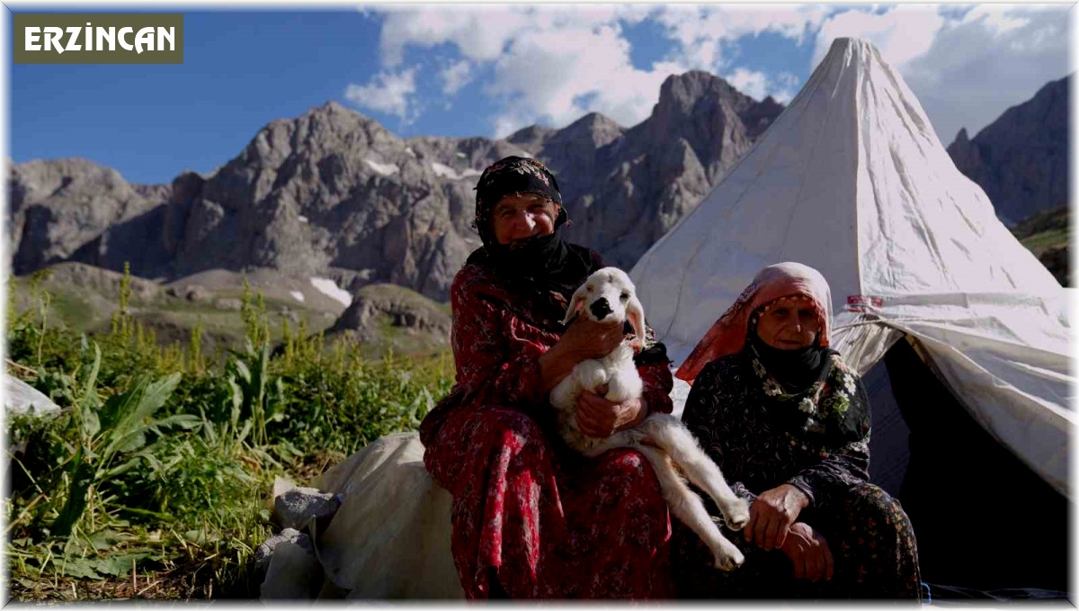 Havalar ısındı, meralar şenlendi
