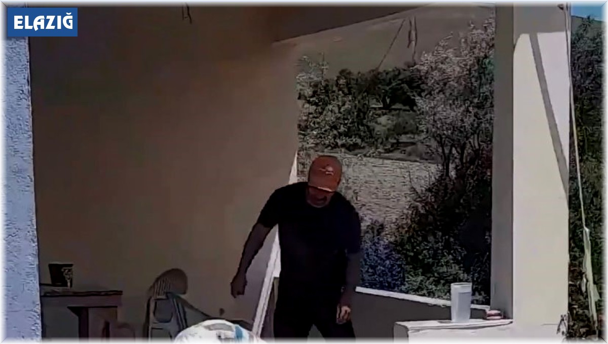 Havalar ısındı, yılanlar evlere girmeye başladı