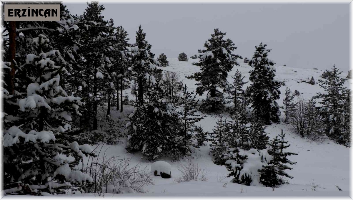 Havalar ısınıyor, kar erimesi ve çığ riskine dikkat!