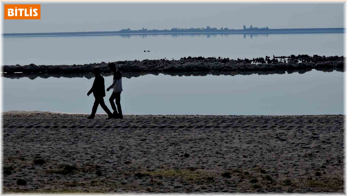 Havalar soğudu Arin Gölü'nün renkli misafirleri yerini ördeklere bıraktı