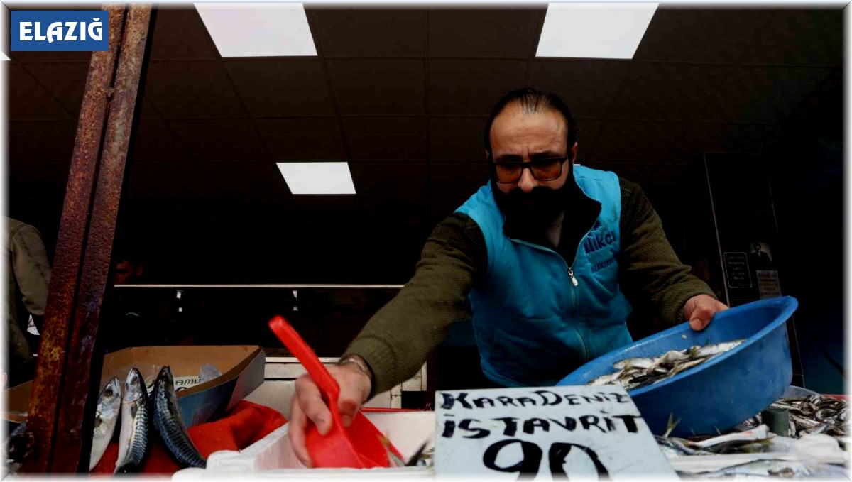 Havalar soğudu, balığa olan rağbet arttı