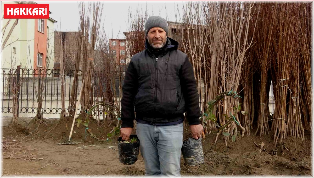 Havaların ısınmasıyla meyve fidanları da görücüye çıktı