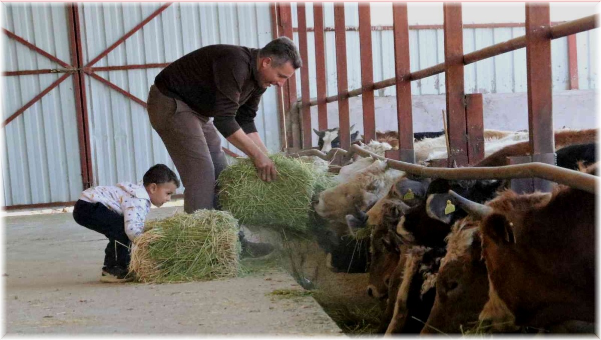'Hayal bile edemezdik' diyen muhtar, TKDK'dan aldığı destek ile köyünü tavuk ve besi çiftliğine döndürdü