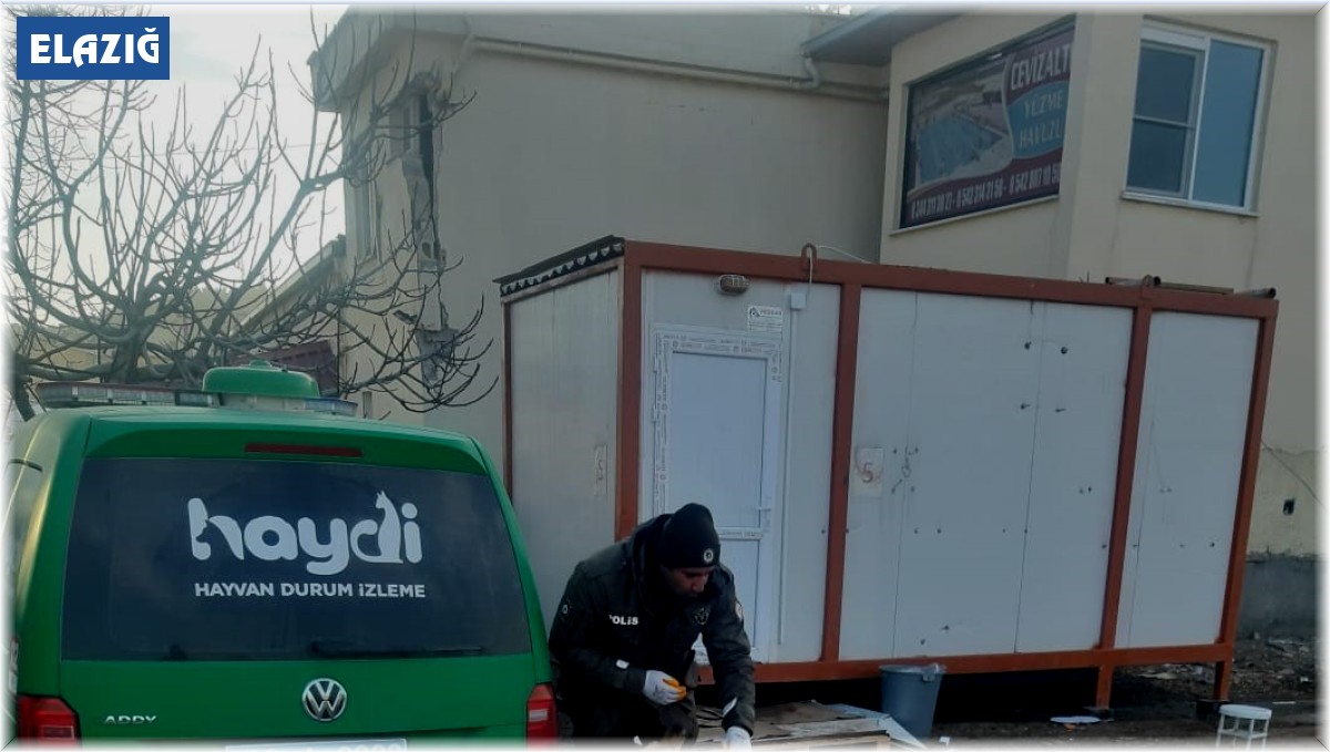 HAYDİ, deprem bölgesindeki can dostlarını yalnız bırakmadı