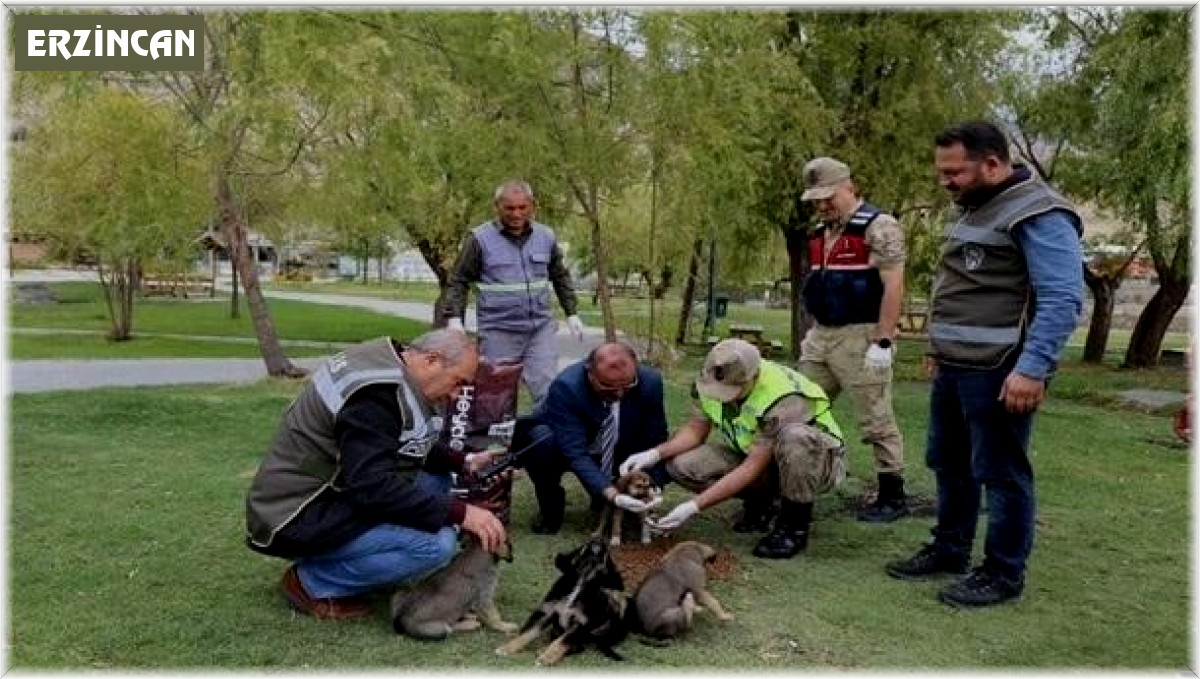 HAYDİ ekipleri sokak hayvanlarının yanında