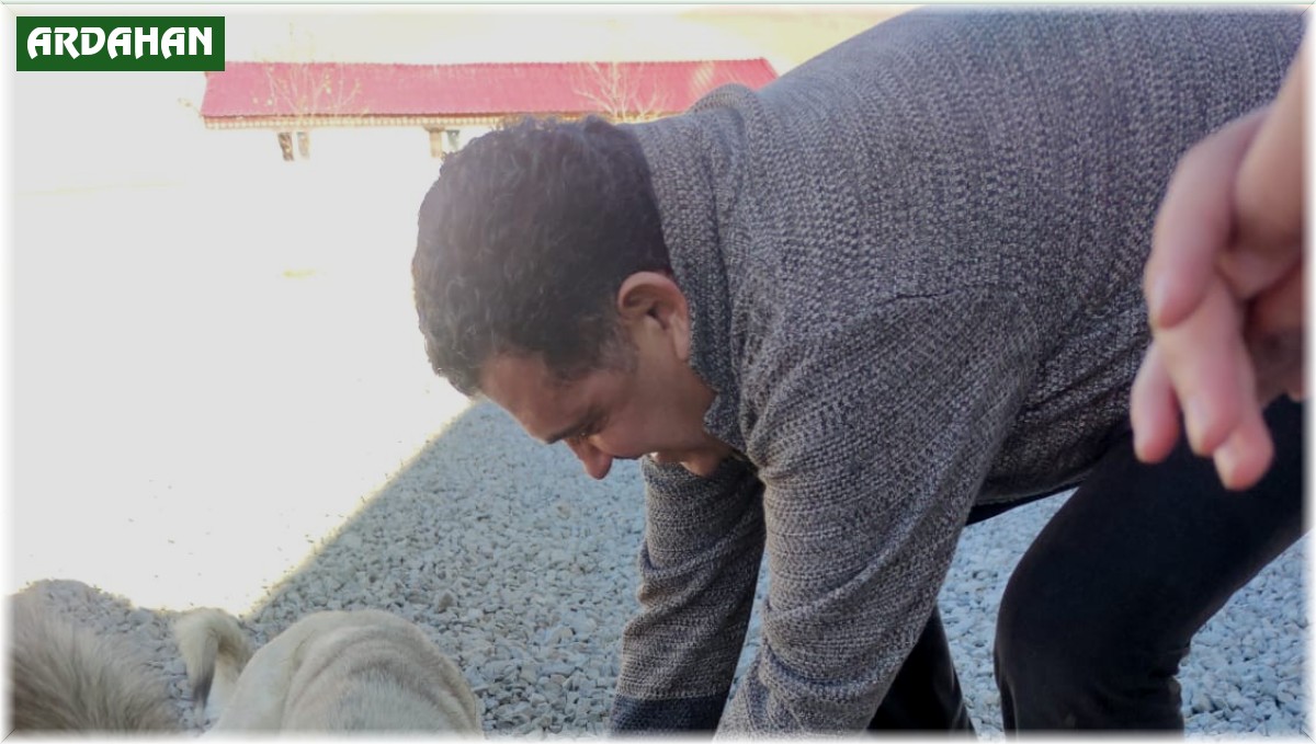 HAYTAP'tan kedi ve köpekler için mama bağışı