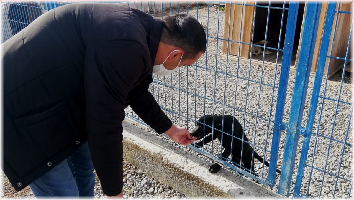 Hayvan Bakımevi ve Rehabilitasyon Merkezi sokak hayvanlarına ev sahipliği yapıyor