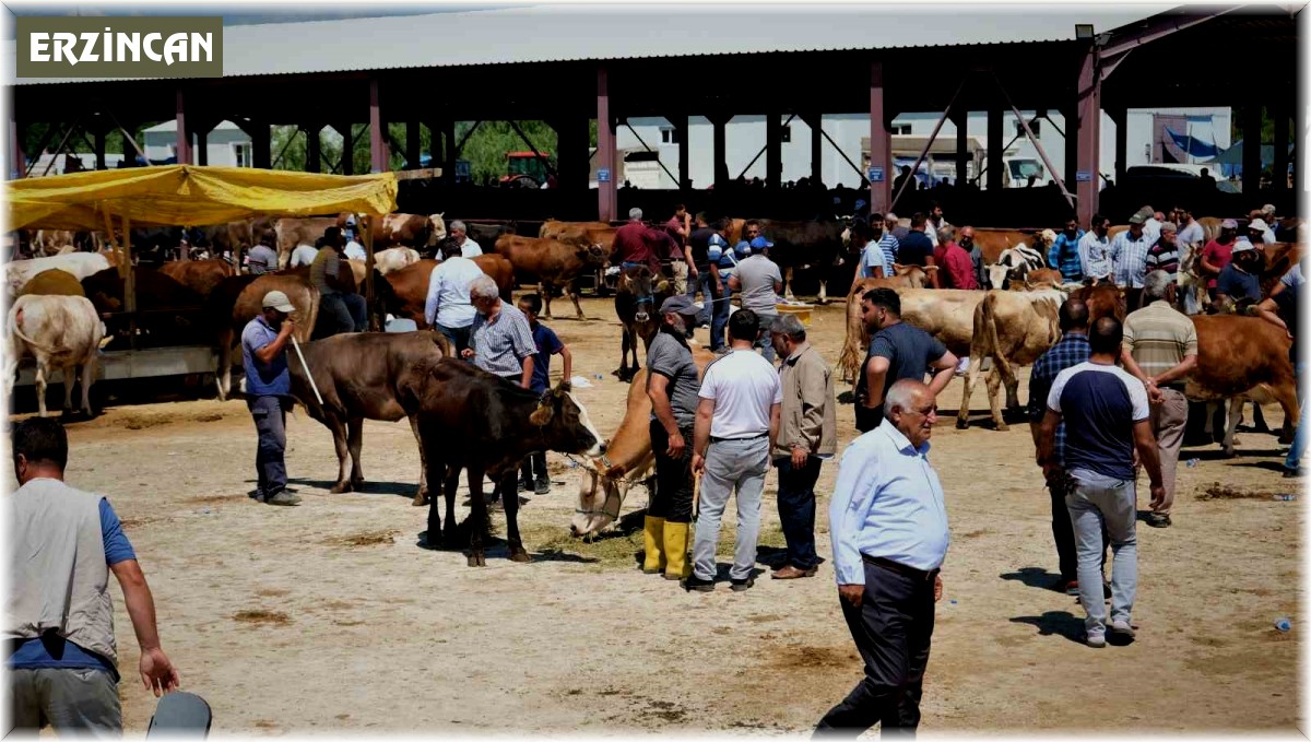 Hayvan hareketleri kısıtlaması 28 Nisan'da son buluyor