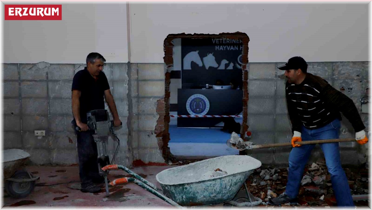 Hayvan hastanesinde yapım onarım çalışmaları sürüyor