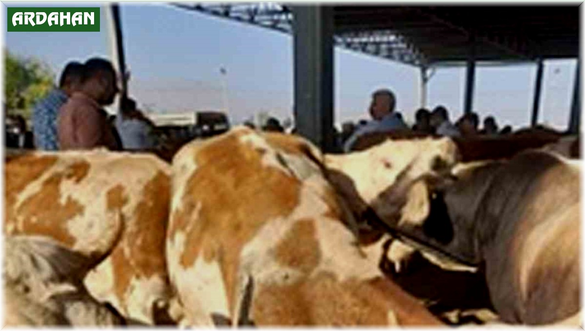 Hayvan hırsızları tutuklandı