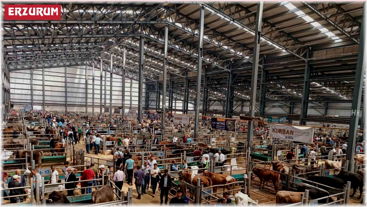 Hayvan pazarında arife yoğunluğu