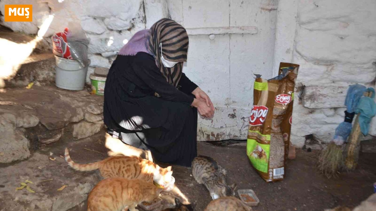 Hayvan sever kadın 8 yıldır sokak hayvanlarına gözü gibi bakıyor