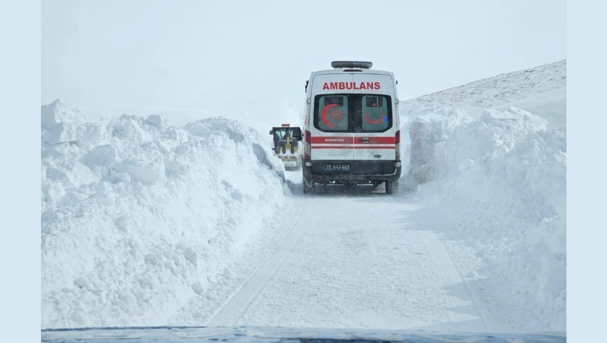 Hayvanından tekme yiyen vatandaşın imdadına jandarma yetişti