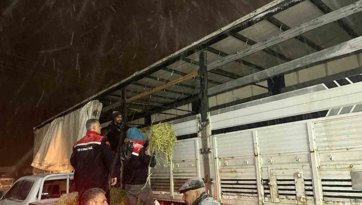 Hayvanlar aç kalmasın diye imdada yetiştiler