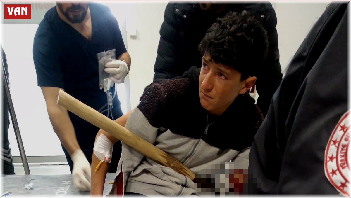 Hayvanlarına ot almaya çalışırken koluna yabanın dişleri battı