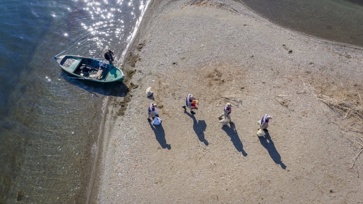 Hazar Gölü'nün "uzun kulaklı sakinleri" jandarmanın şefkatli elleriyle besleniyor