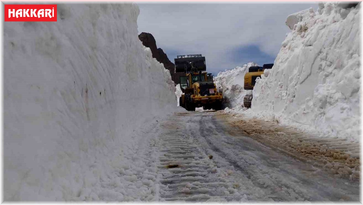 Haziran ayında 3 metreyi bulan karda yol açma çalışması