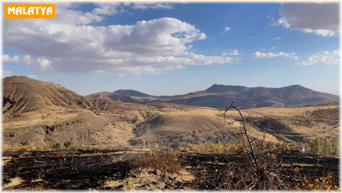 Hekimhan'da arazi yangını: 8 dönüm zarar gördü