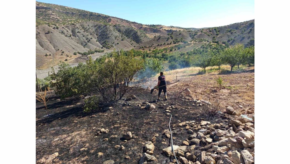 Hekimhan'da ormanlık alanda çıkan yangın söndürüldü