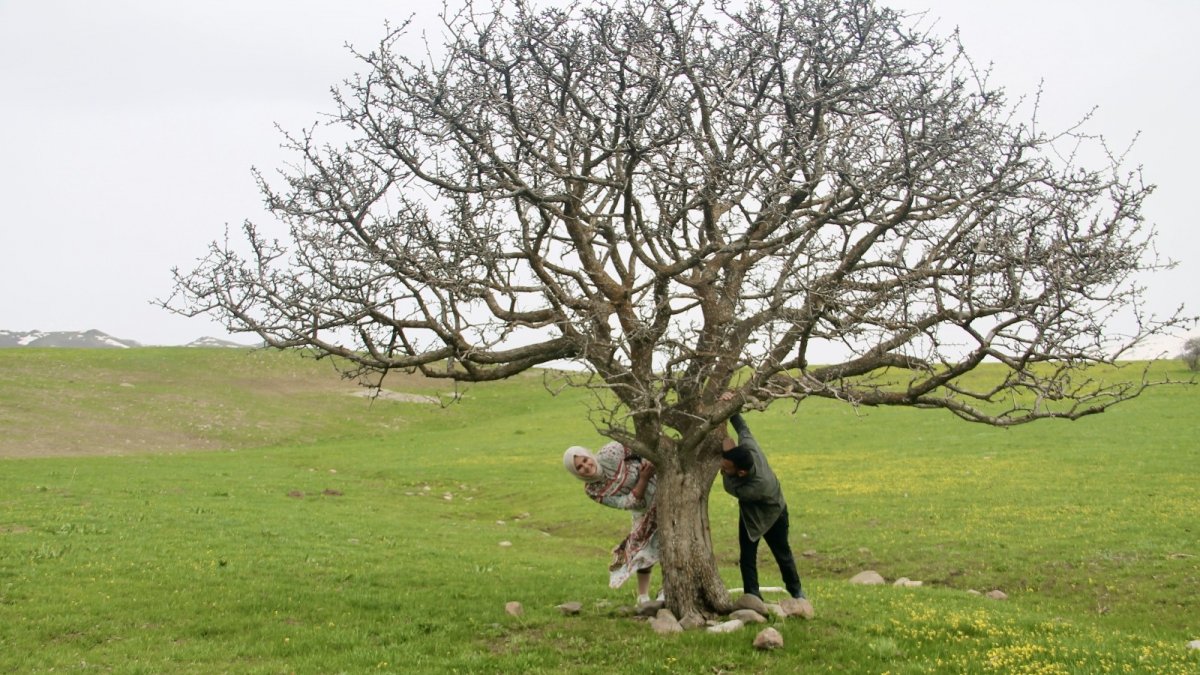 Hem çiçek topladılar, hem karın tadını çıkardılar
