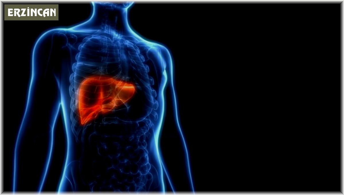 Hepatite karşı "Bilgilenin, aşılanın, korunun!"