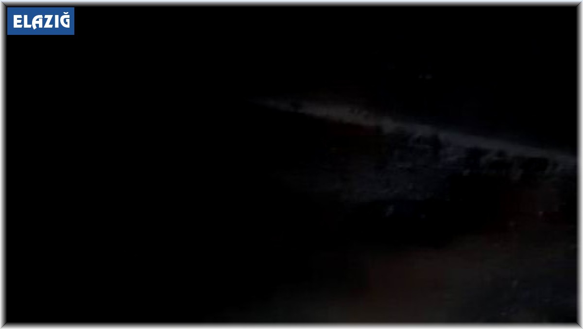 Her gün yanına gelen kirpiyi elleri ile besliyor