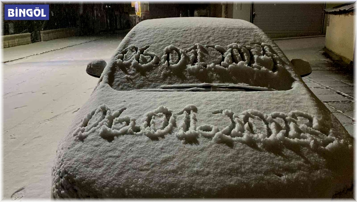 Her kış metrelerce karın yağdığı Karlıova yeni beyaza büründü