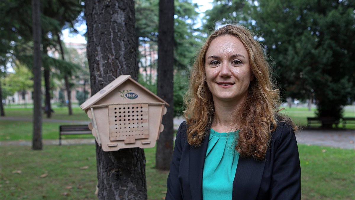 Hero Baby, 50 milyon arıyı doğaya kazandırmayı planlıyor