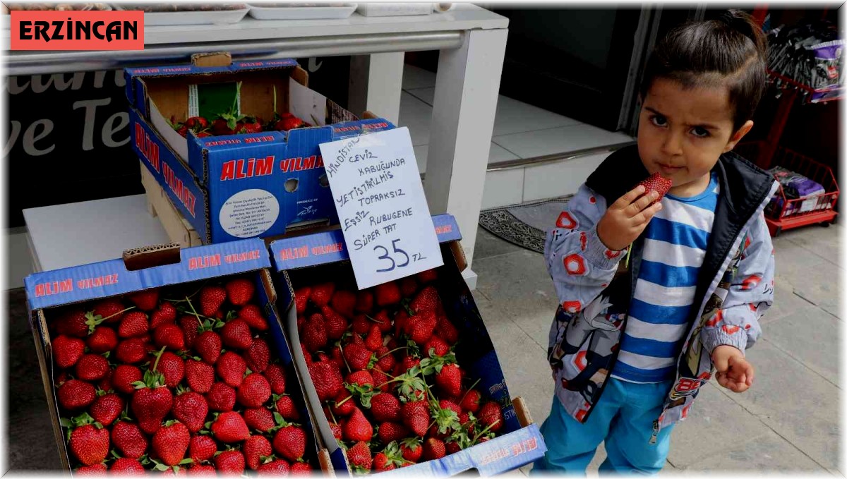Hindistan cevizi kabuğuyla üretilen çilek Erzincan'da satışa sunuldu
