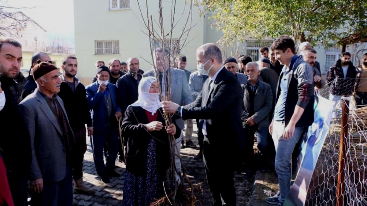Hizan'da 22 bin meyve fidanı dağıtıldı