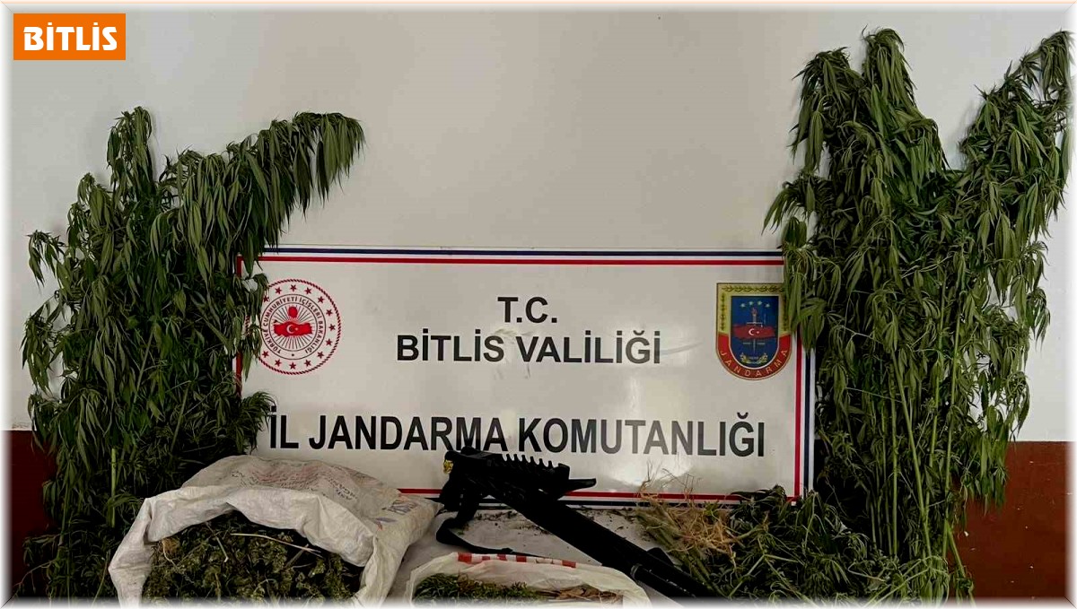 Hizan'da esrar ve kenevir ele geçirildi