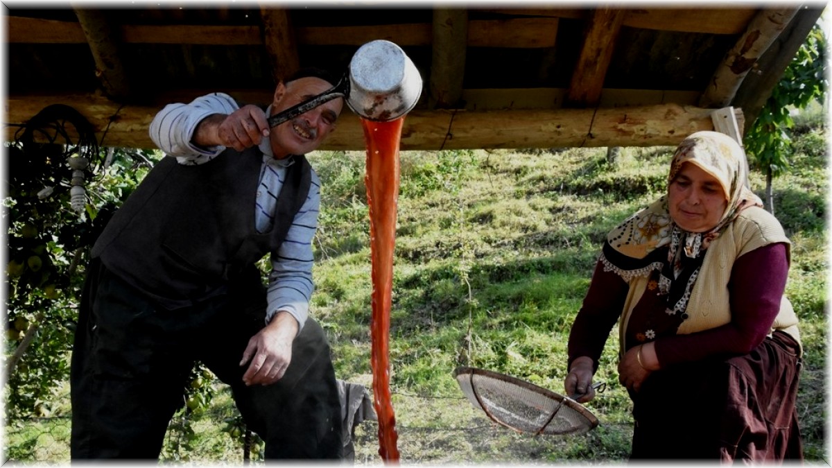 Hizan'da geleneksel yöntemlerle bir asırdır üzüm pekmezi yapılıyor