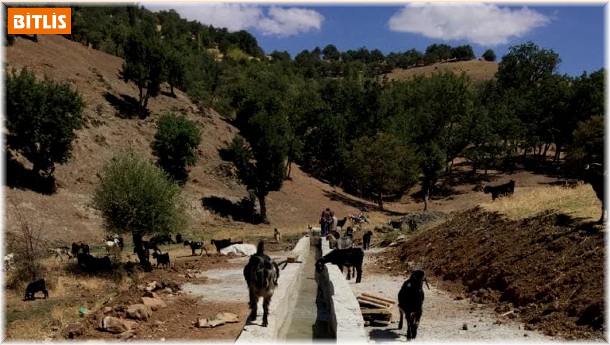 Hizan'da hayvanlar için sıvat kurulumu yapıldı