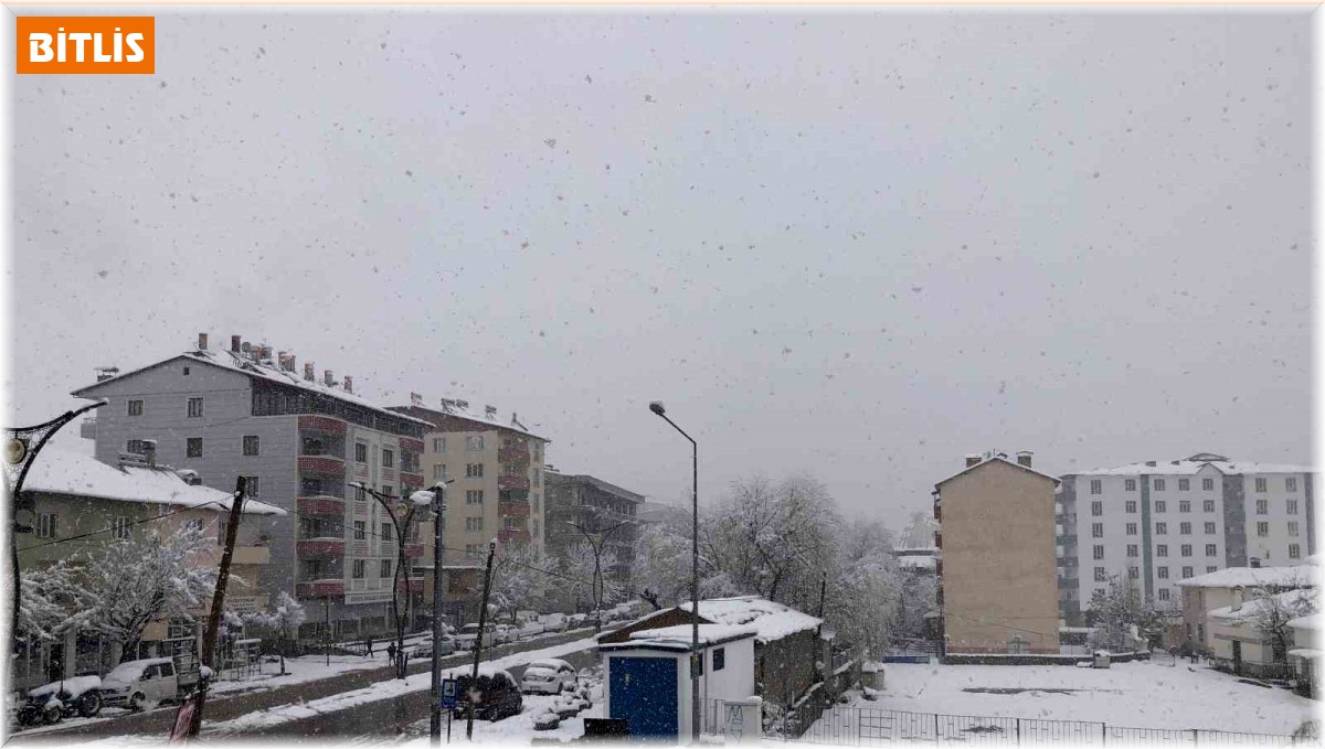 Hizan'da kar yağışı