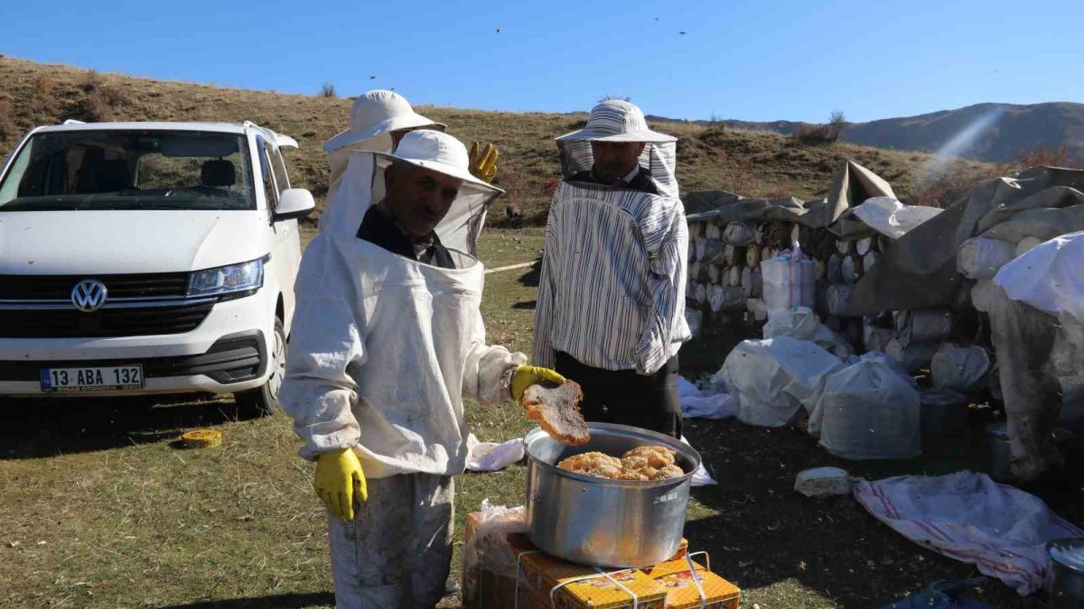 Hizan'da karakovan balının hasadı sürüyor