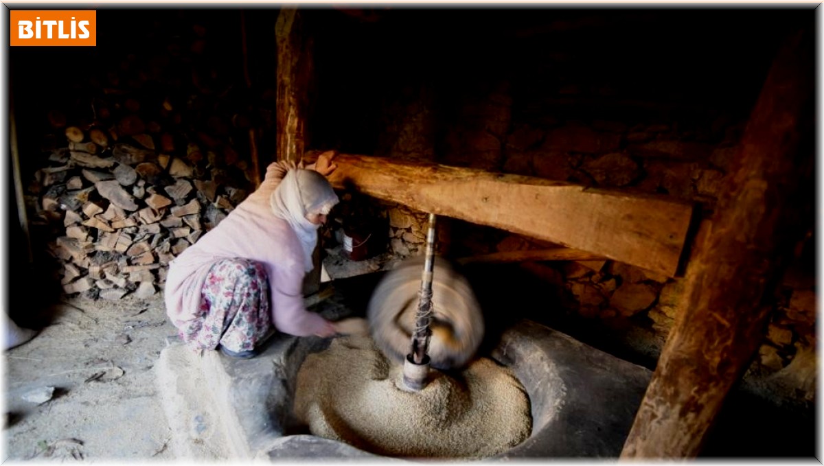 Hizan'da üretilen çeltik asırlık su değirmeninde öğütülüyor