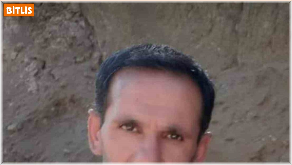 Hizan'da üzerine ağaç devrilen adam hayatını kaybetti