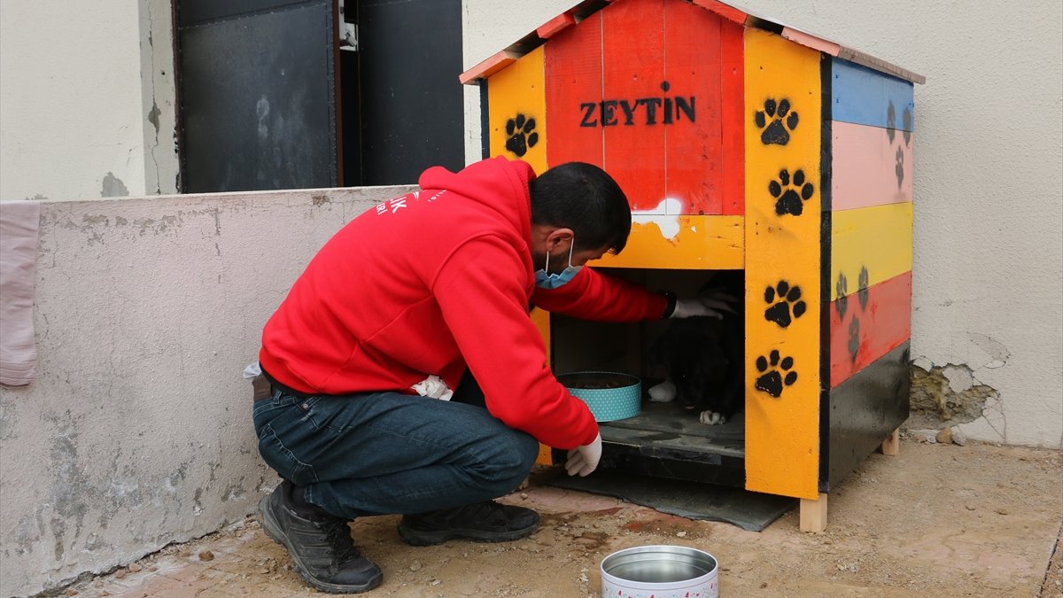 Hizan'da yaralı köpeği gençlik merkezi çalışanları sahiplendi