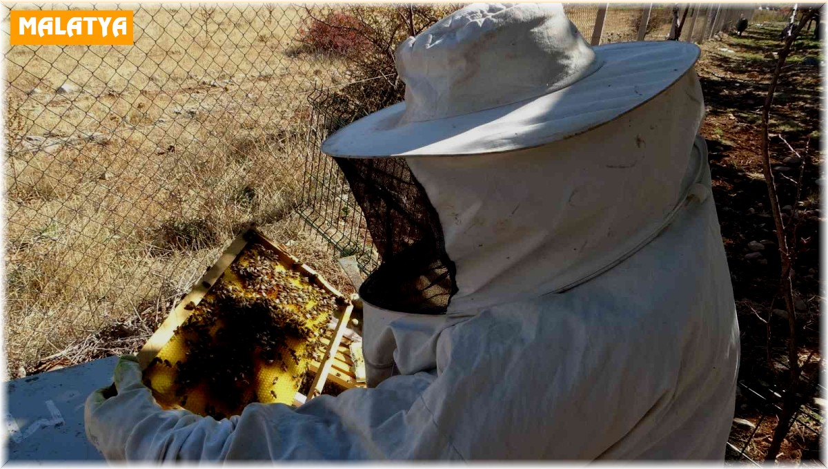 Hobi ile başladı hanım ağa olma yolunda ilerliyor
