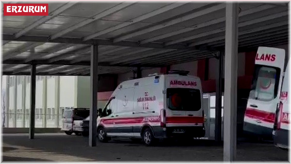 Horasan'da akraba kavgası: 4 yaralı