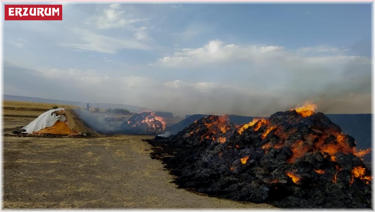 Horasan'da ot yangını