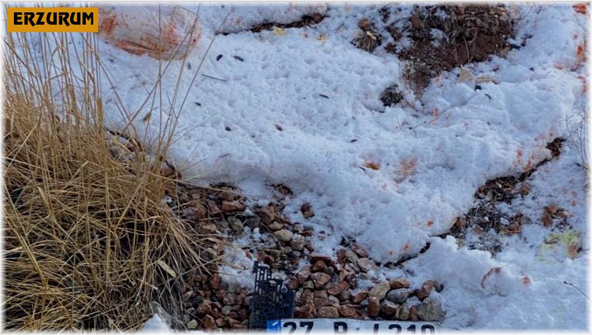 Horasan'da trafik kazası: 2 kişi öldü, 2 kişi yaralandı