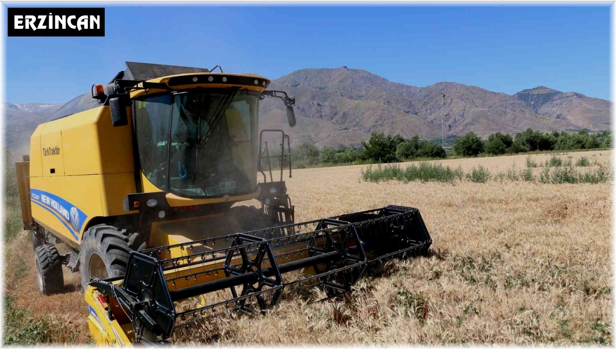 Hububat hasadının başlamasıyla biçerdöverler yönelik denetimler arttırıldı