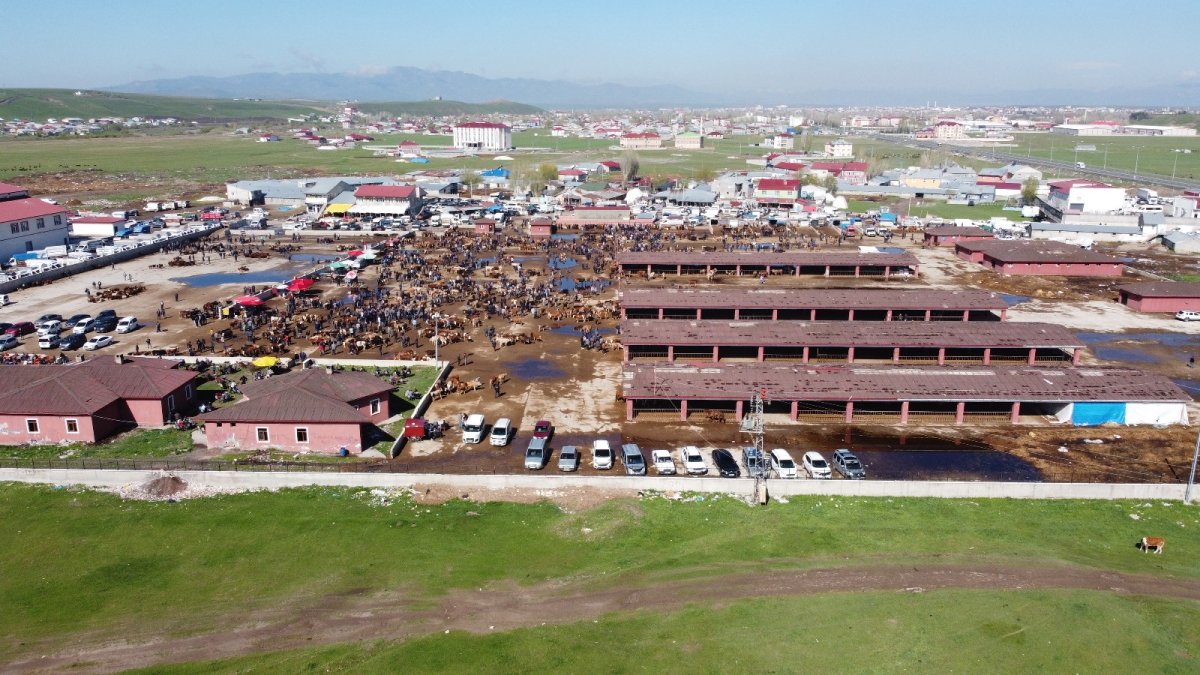 HÜDA PAR Ağrı İl Başkanı Yılmaz Hayvan Borsasını Ziyaret Etti